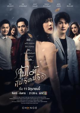 吹落的树叶第11集