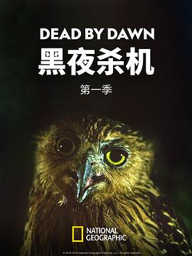 黑夜杀机第一季第04集